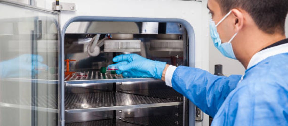 Young laboratory researcher introducing a petri dish into an incubator